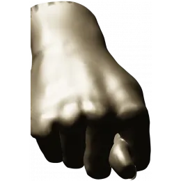 Жест "Дуля"