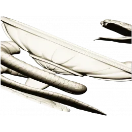 Чаша Гигиеи