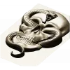 Viper's Embrace - Skull with Cobra high-relief STL