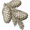Pine Cone Cluster STL 3D model for CNC relief carving