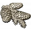 Pine Cone Cluster STL 3D model for CNC relief carving