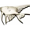 Angelfish bas-relief STL model for CNC milling
