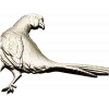 Pheasant bas-relief STL model for CNC