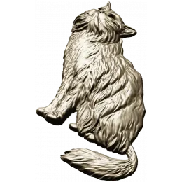 Пушистый кот