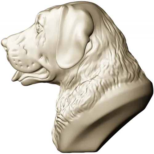 Labrador Retriever Head Relief - STL 3D Model for CNC