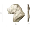 Labrador Retriever Head Relief - STL 3D Model for CNC