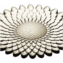 Sunburst Medallion