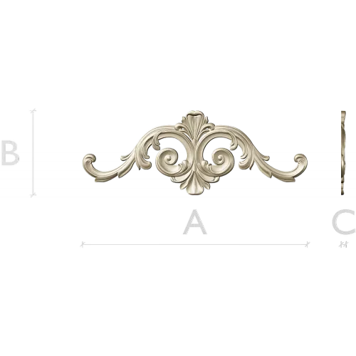 Aurelia Scroll