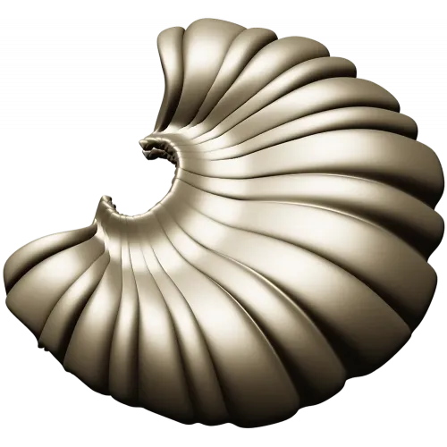 Shell Fan Relief - STL 3D model for CNC milling
