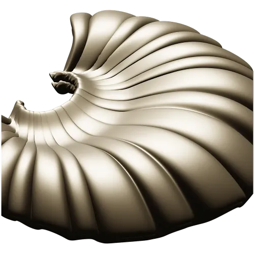 Shell Fan Relief - STL 3D model for CNC milling