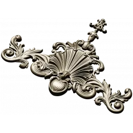 Golden Shell Cartouche