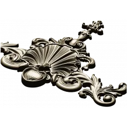 Golden Shell Cartouche