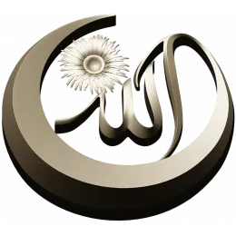 Лунная каллиграфия