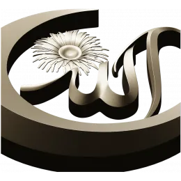 Лунная каллиграфия