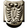 Florentine Acanthus Cartouche - STL 3D Model for CNC