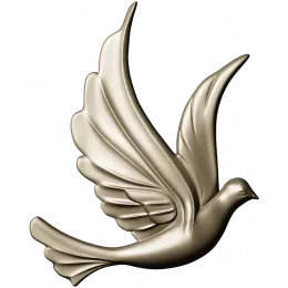 Skyward Dove