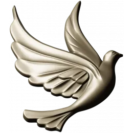 Skyward Dove