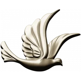 Skyward Dove