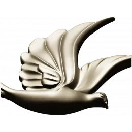 Skyward Dove