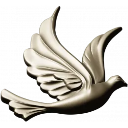 Skyward Dove