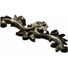 Baroque Shell Cartouche