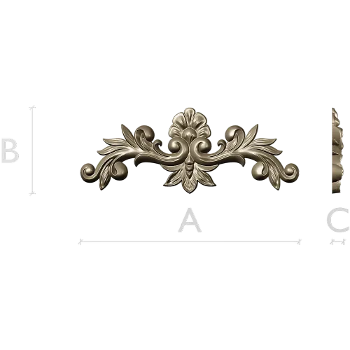 Baroque Shell Cartouche