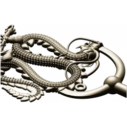 Imperial Coil Dragon