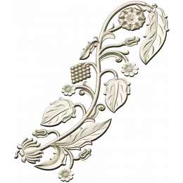 Виноградная лиана
