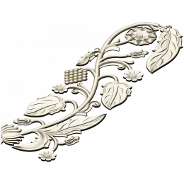 Виноградная лиана