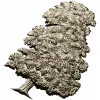 Ornamental Tree 3D Model for CNC Milling in STL Format