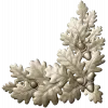 Oak Leaf and Acorn Decorative Corner STL Model for CNC