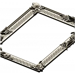 Rococo Blossom Frame