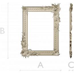 Rococo Blossom Frame
