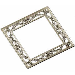 Rosette Vine Square Frame
