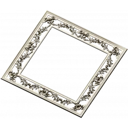 Rosette Vine Square Frame