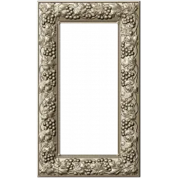 Grapevine Elegance Frame