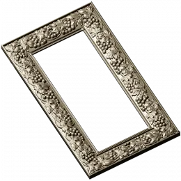 Grapevine Elegance Frame