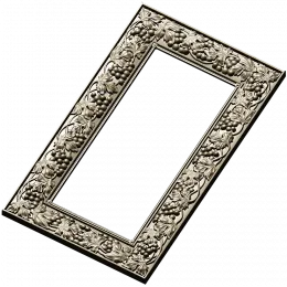 Grapevine Elegance Frame