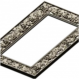 Grapevine Elegance Frame