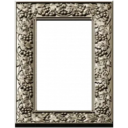 Grapevine Elegance Frame