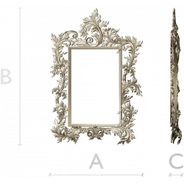 Regal Acanthus Frame