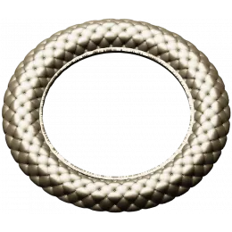 Auric Braid Frame
