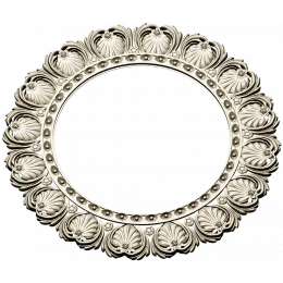 Aurelia Rosette