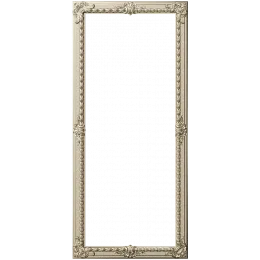 Versailles Slim Ornamental Frame