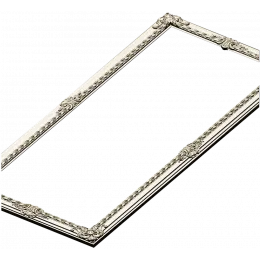 Versailles Slim Ornamental Frame