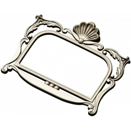 Seashell Rococo Frame