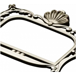 Seashell Rococo Frame
