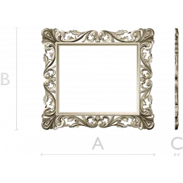 Regal Acanthus Frame