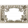 Golden Vine Cartouche