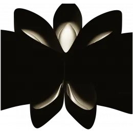 Лепестковая звезда
